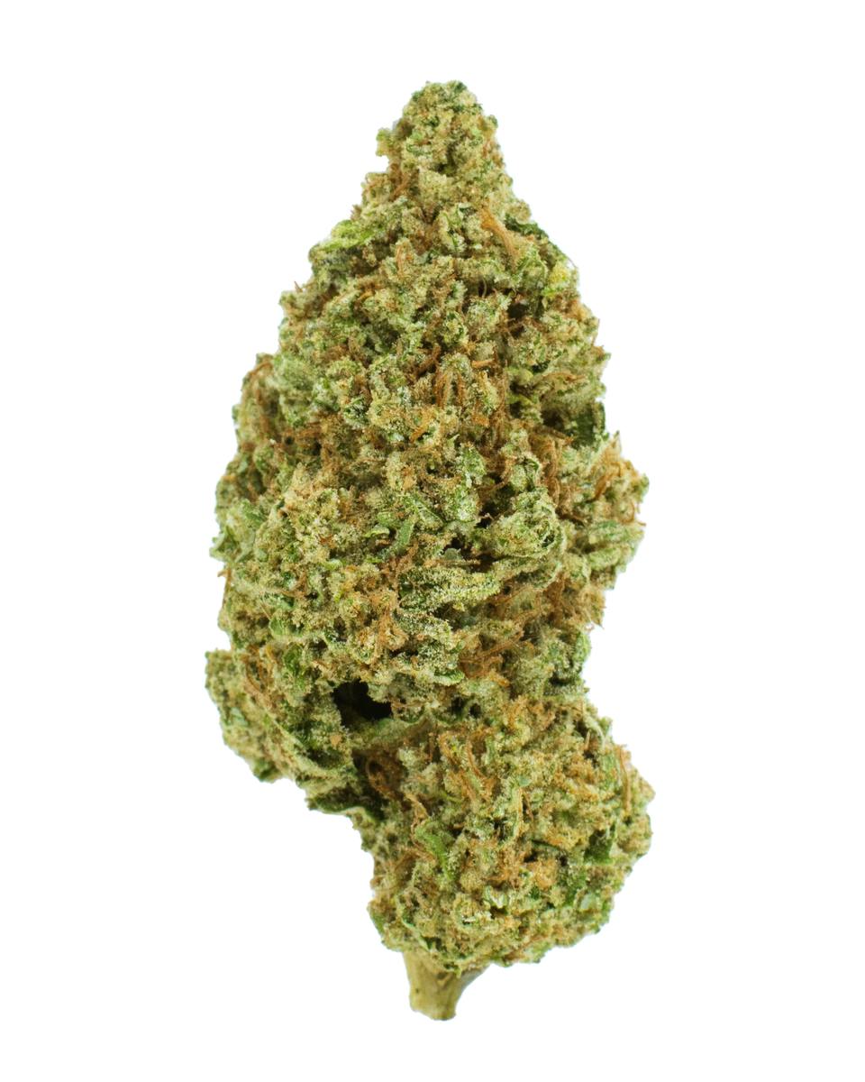 $22: Gazzurple - Burr S Place