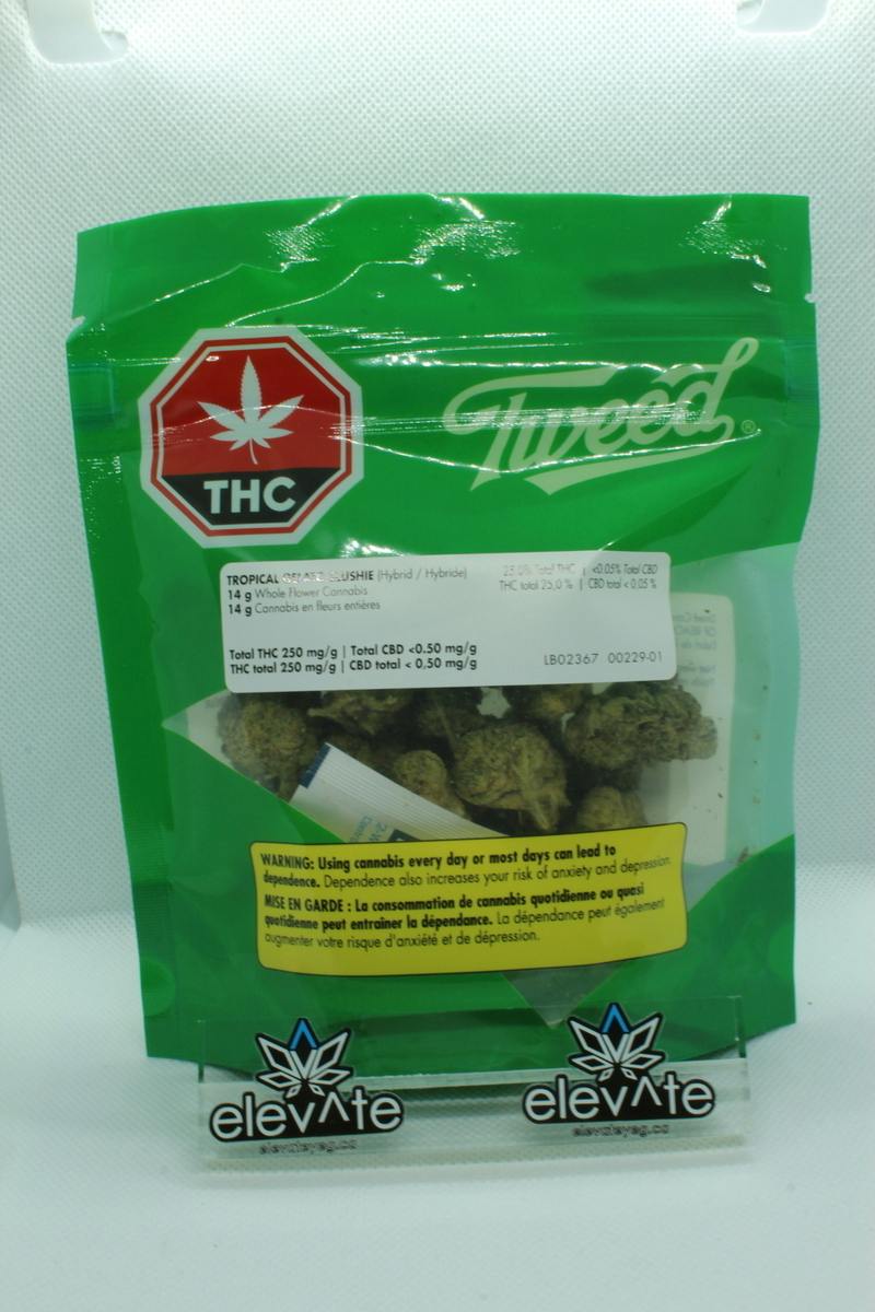 Tropical Gelato Slushie | Big Buds | 14g