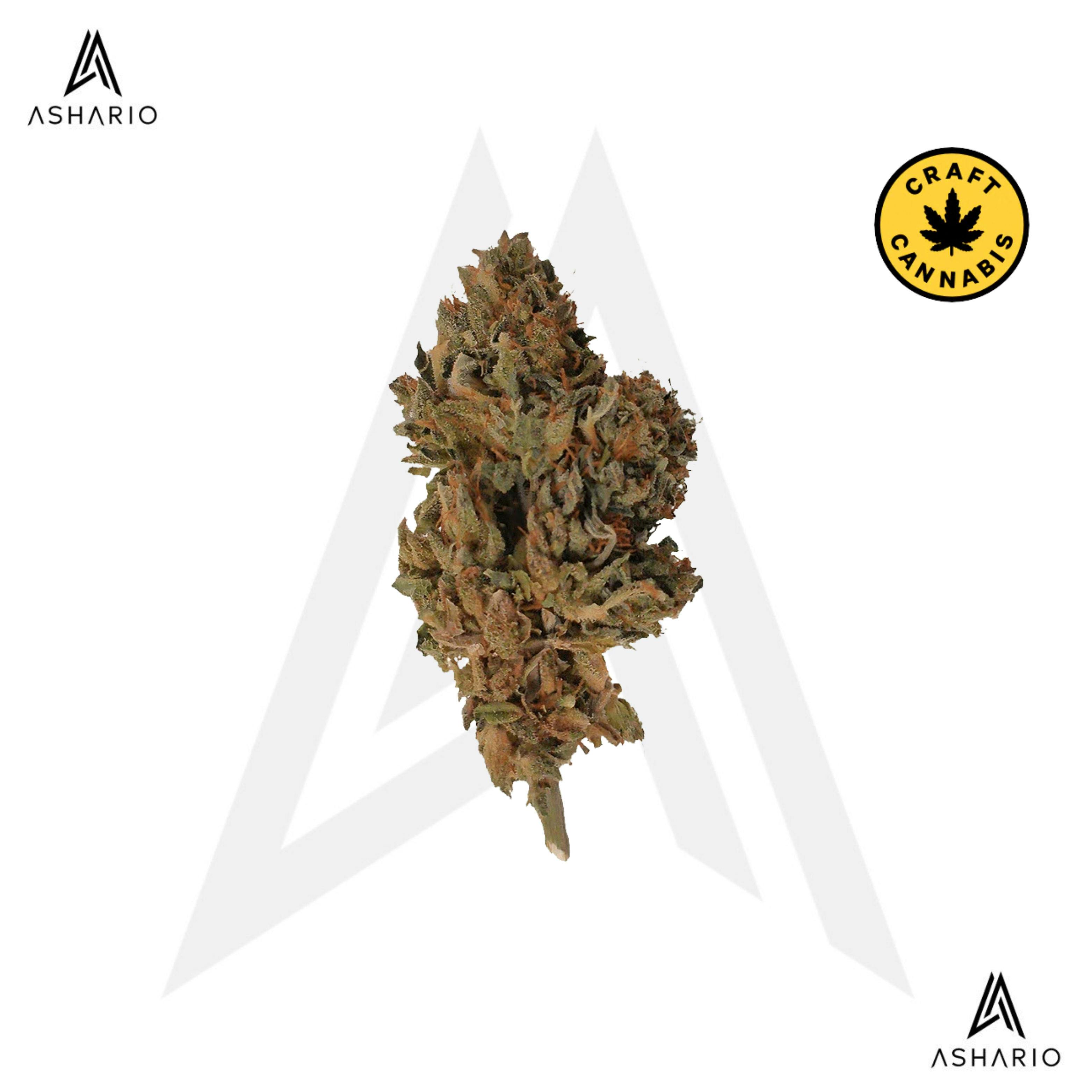 Ambassador Organic Craft CBD | 7g