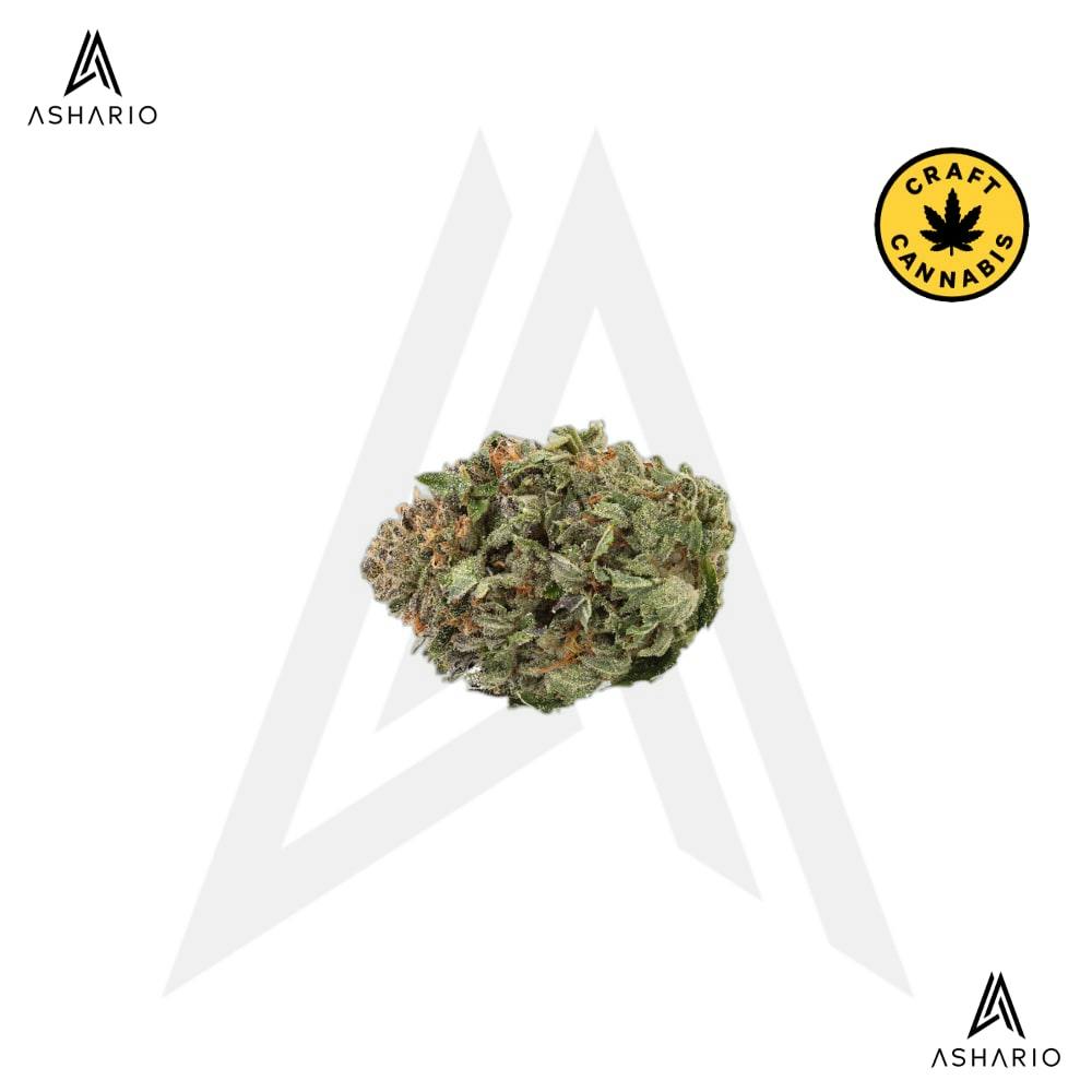 Comatose | 3.5g