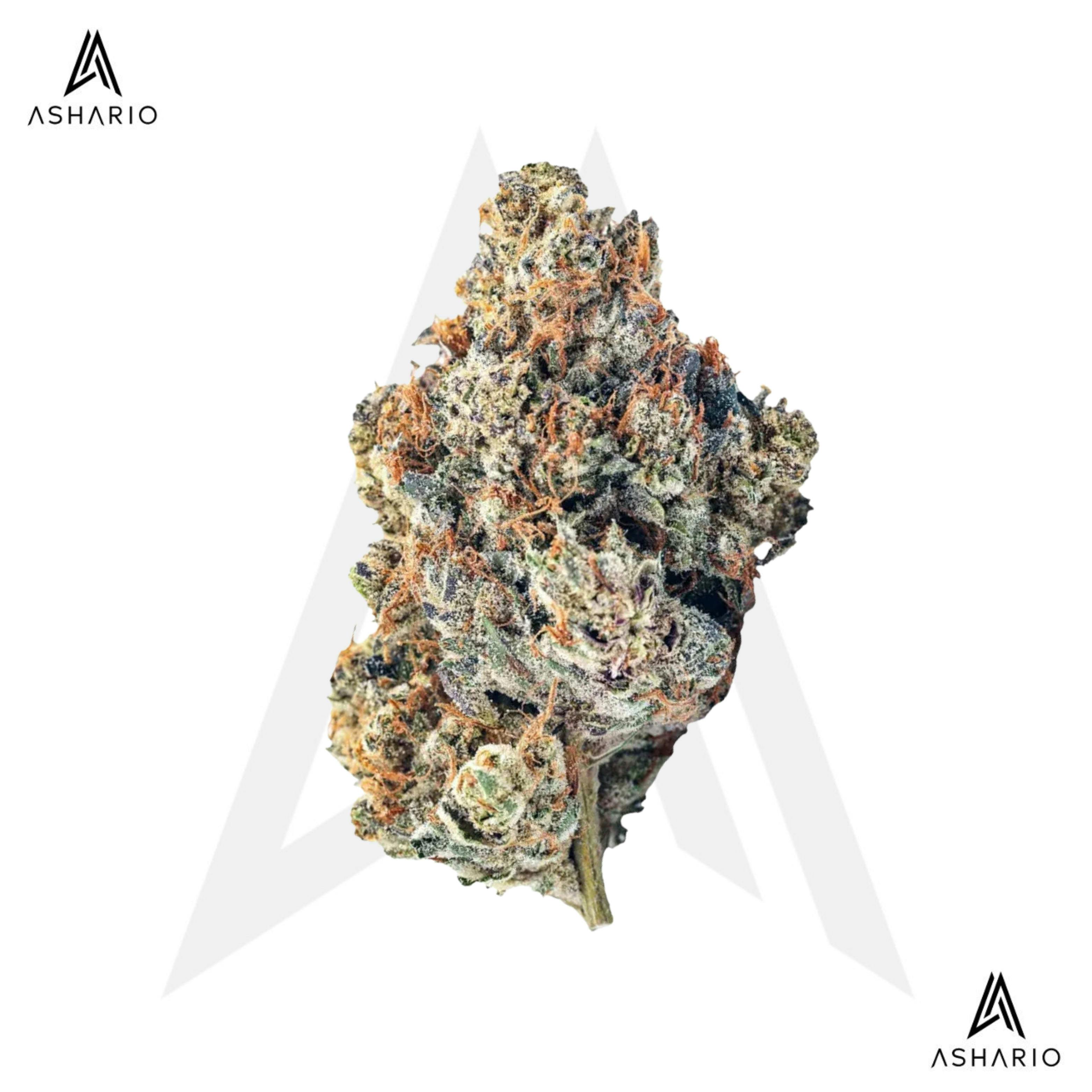 Yuck Mouth | 14g