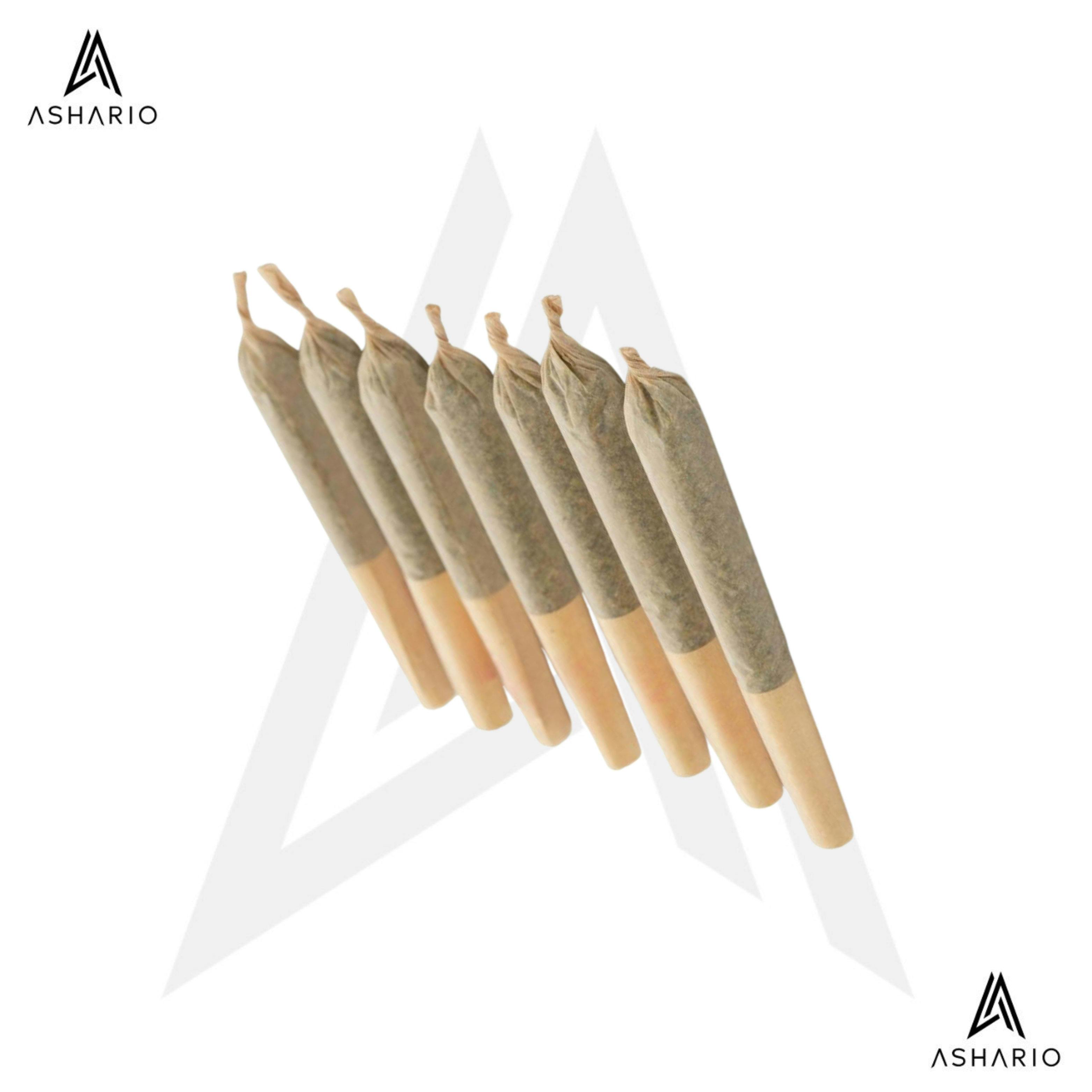 Gluerangutan | 7x0.5g