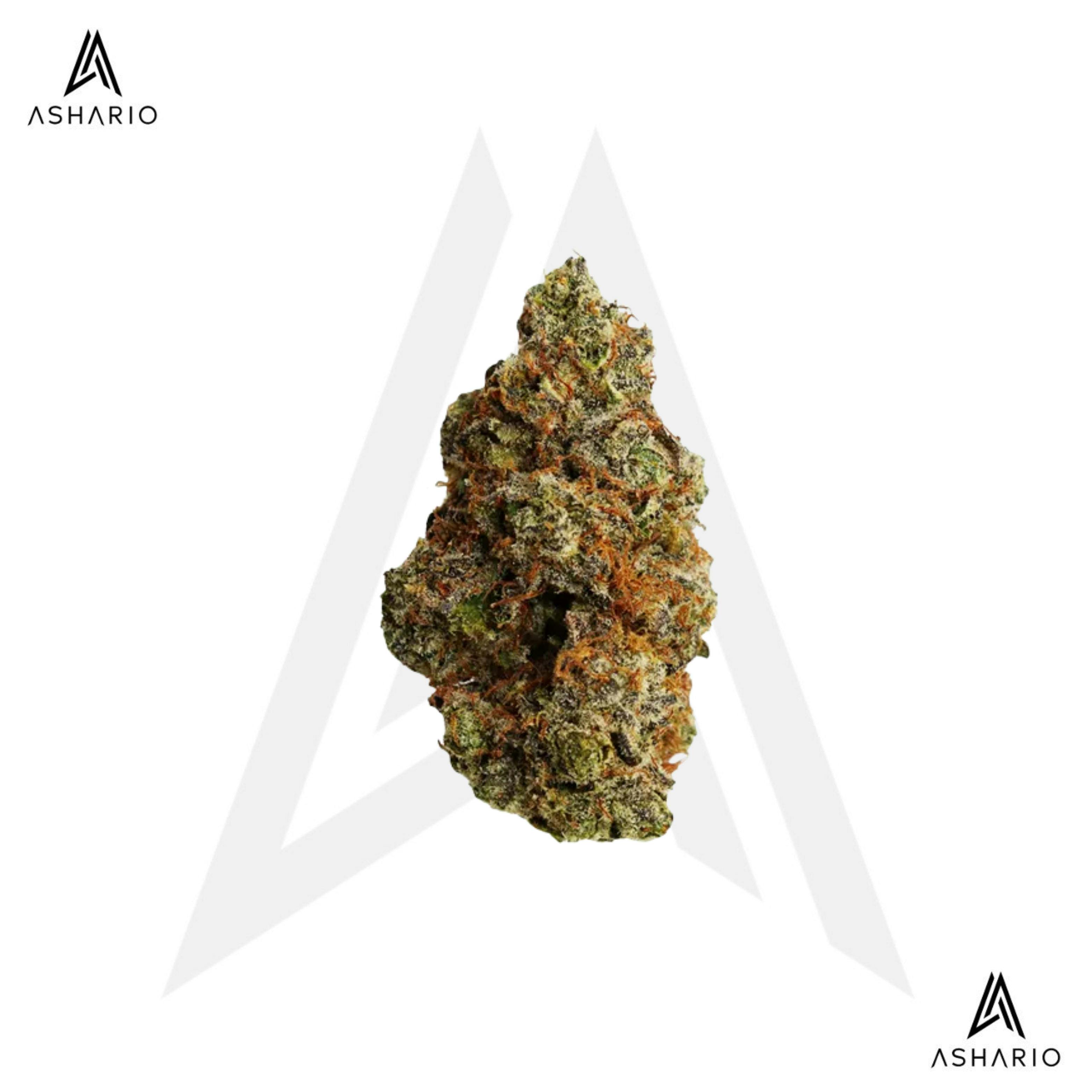 Johnny Cage | 7g