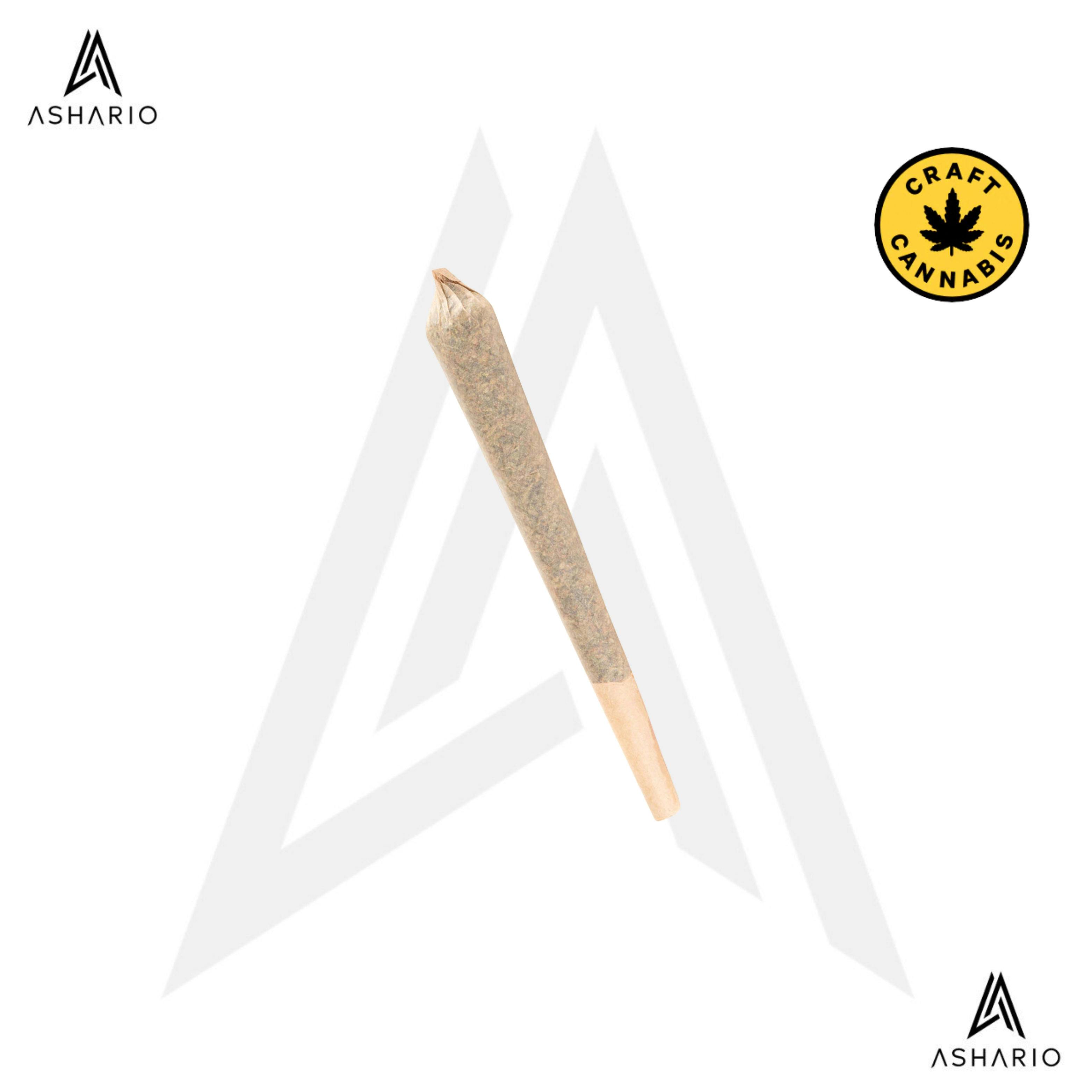Mango Tango | 1x1g