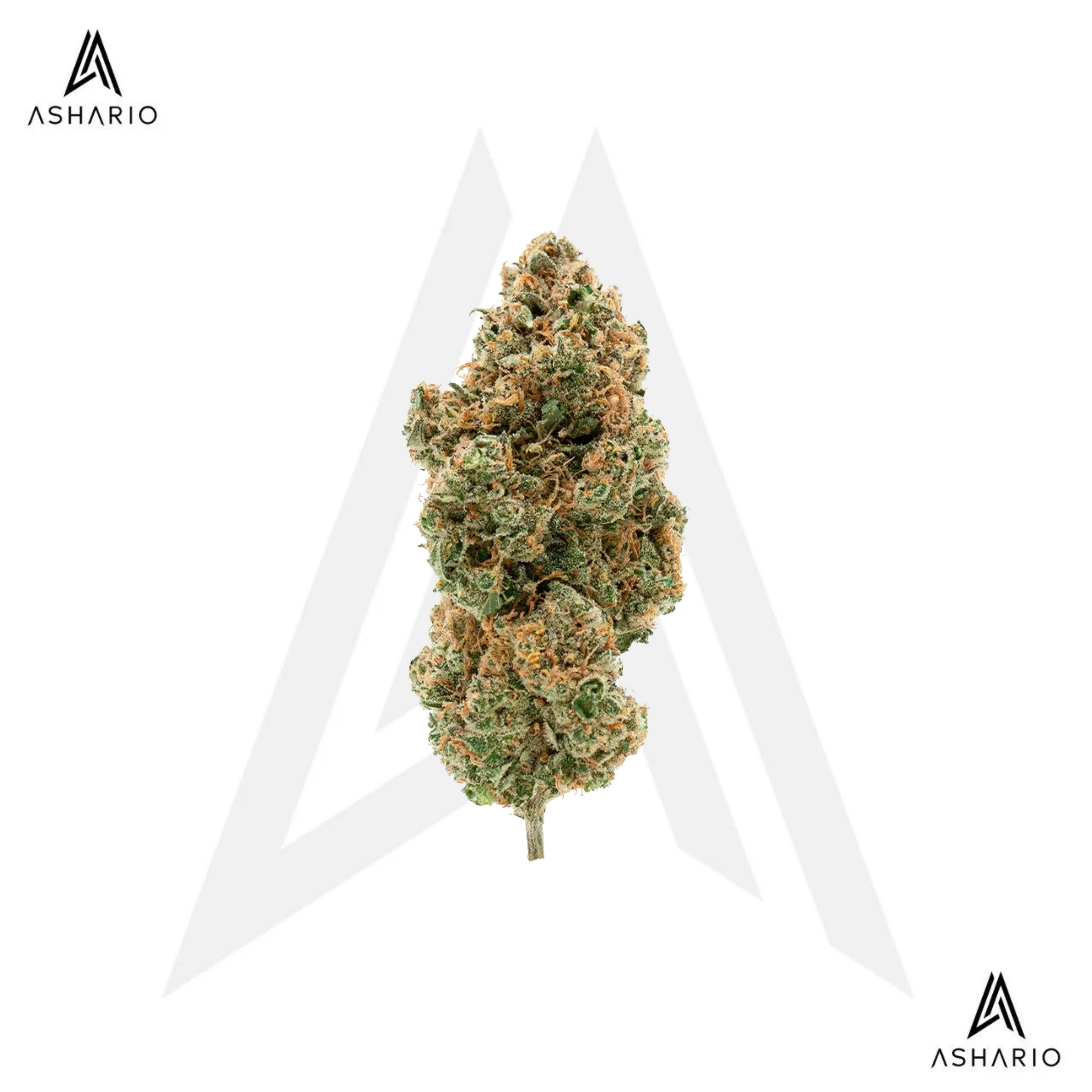 BC Organic Tangerine Sunrise | 3.5g