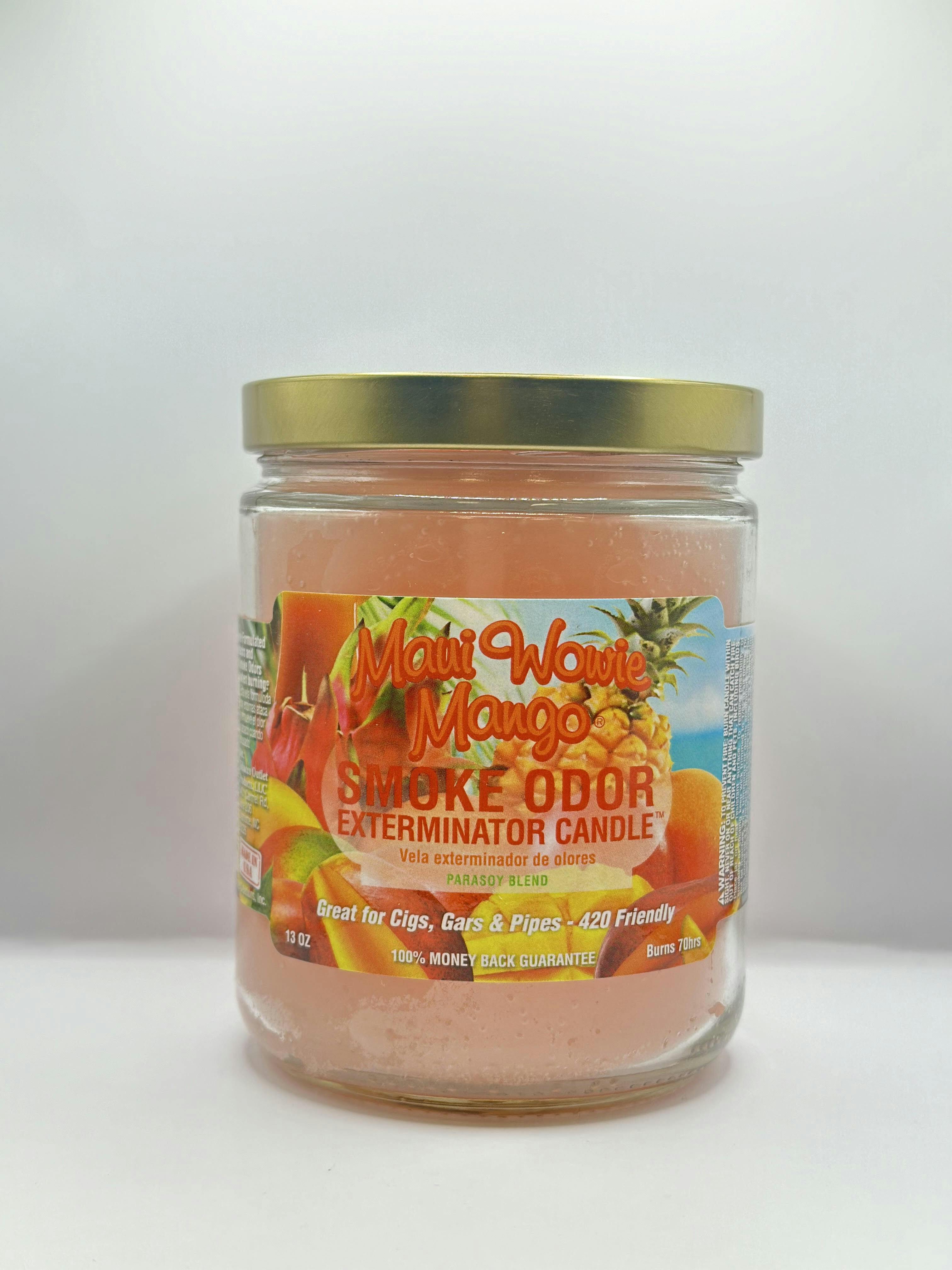 13oz Candle - Maui Waui Mango