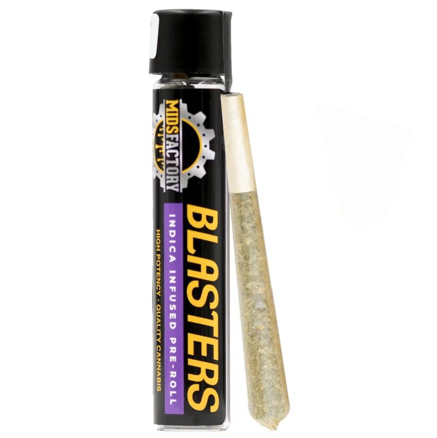 MidsFactory - King — Louis X Pink Champagne - - King Louis X P