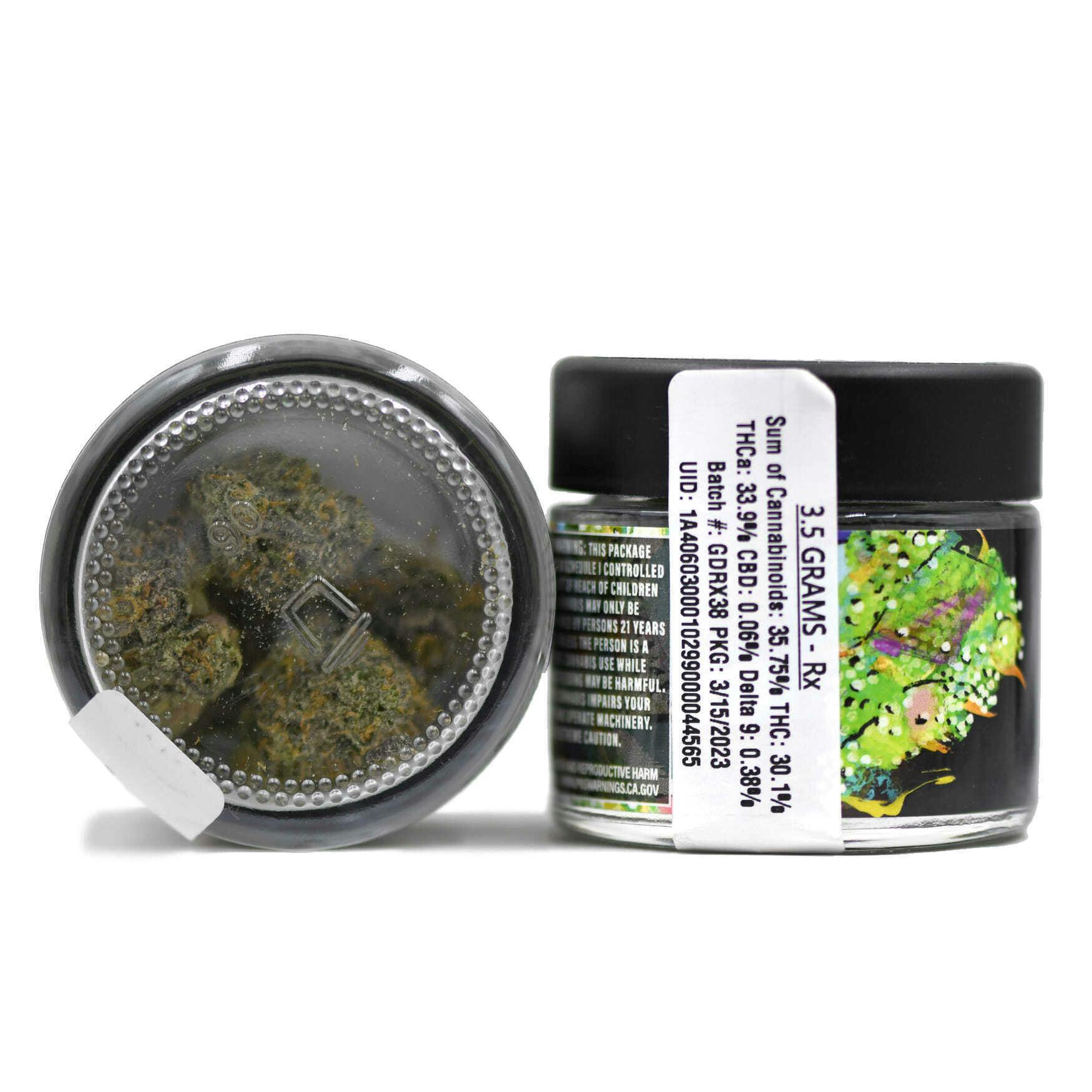 Turtle Pie - — Indoor