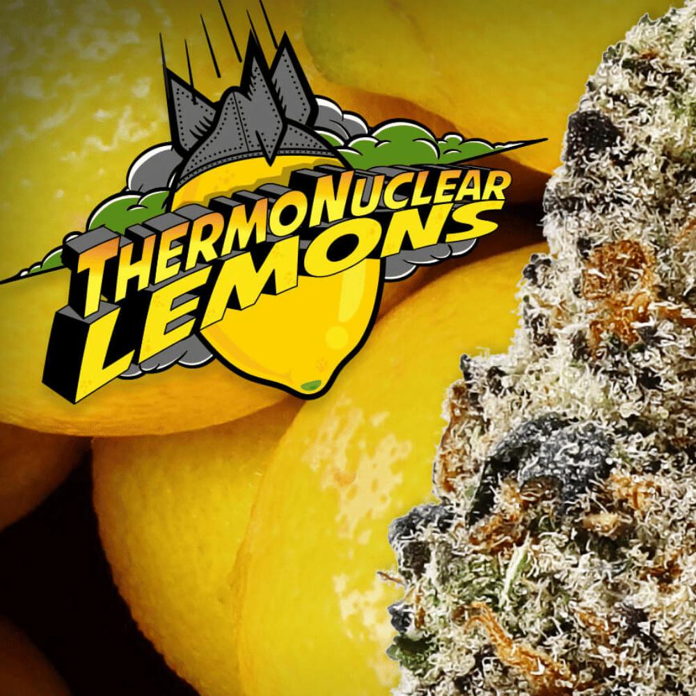 High Grade Farms - Thermonuclear Lemons 29.02% - 3.5g - Eighth