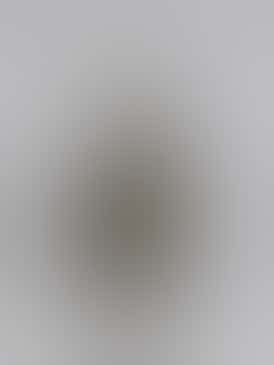 Jungle Kush - Gas Pack Gardens