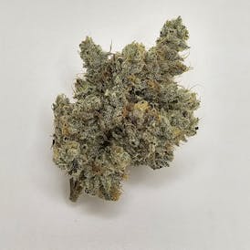 Arctic Octane - Gaspack Gardens