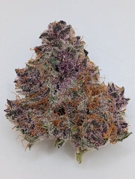 Tropicana Cherry - Captains Cannabis