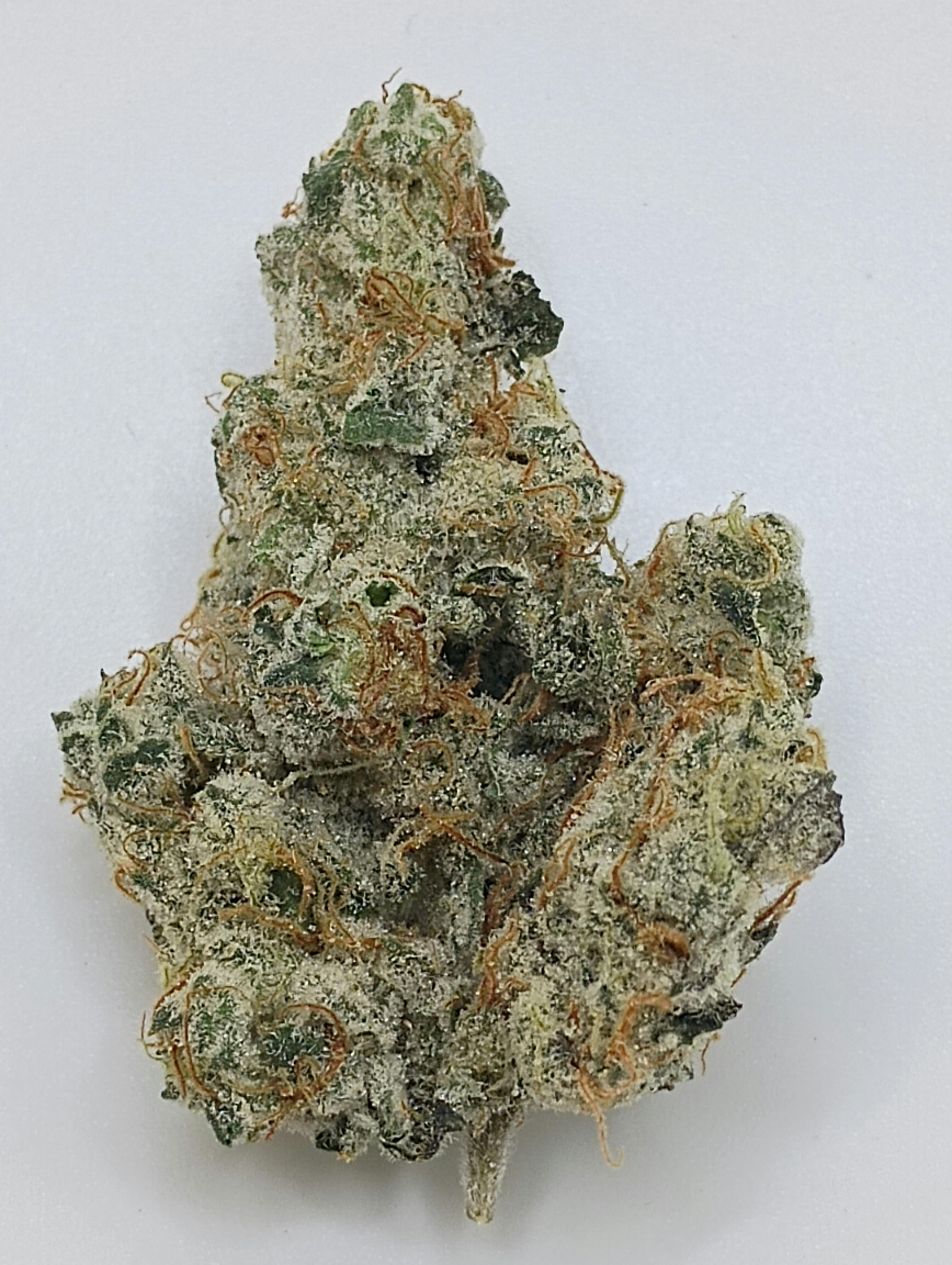 Cap Junky - Captains Cannabis