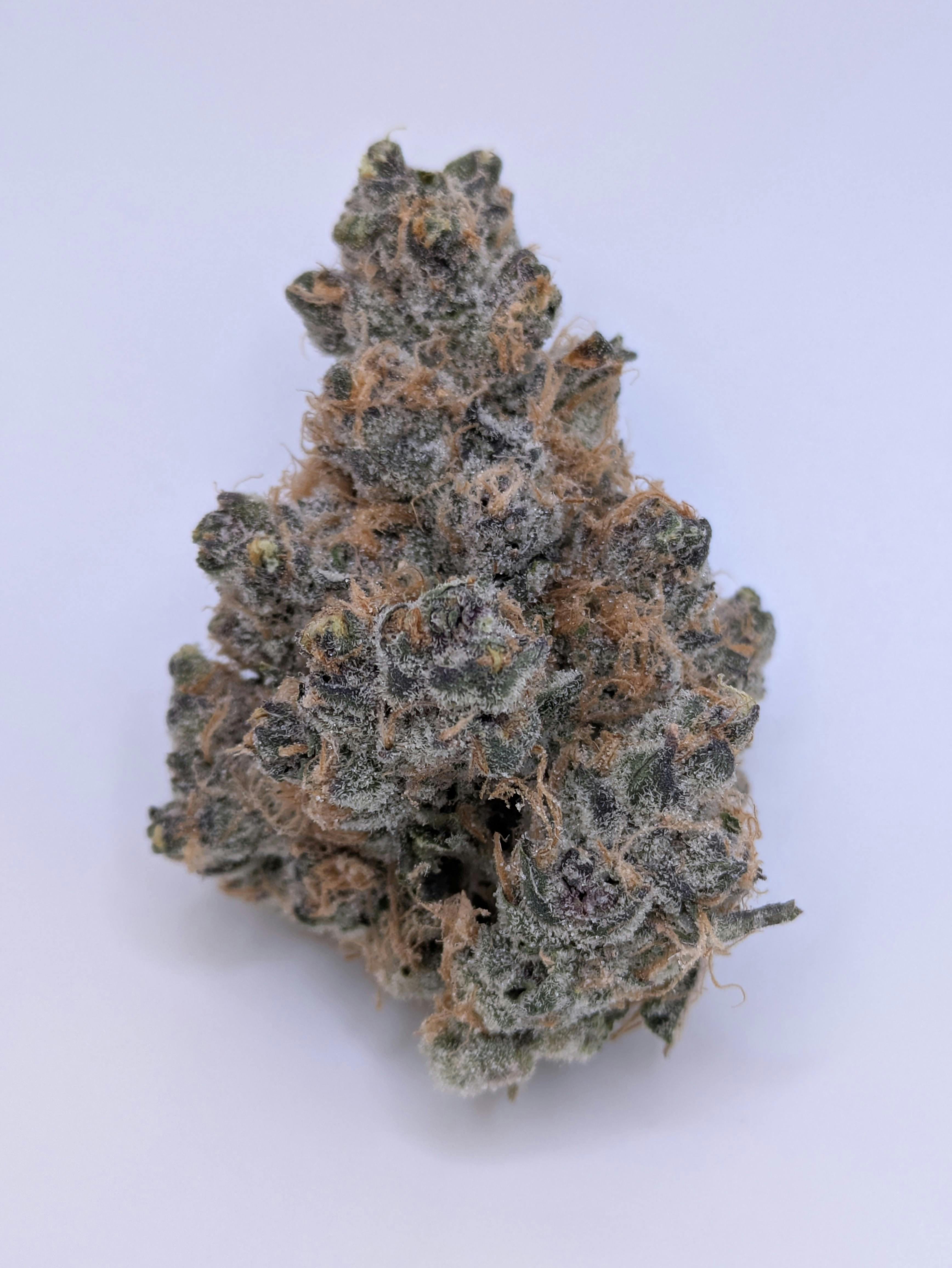 Super Boof - Captains Cannabis