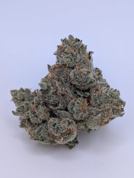 Canal Street Runtz - Captains Cannabis