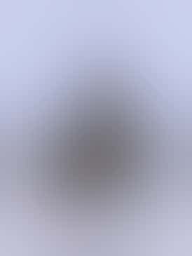 Canal Street Runtz - Captains Cannabis