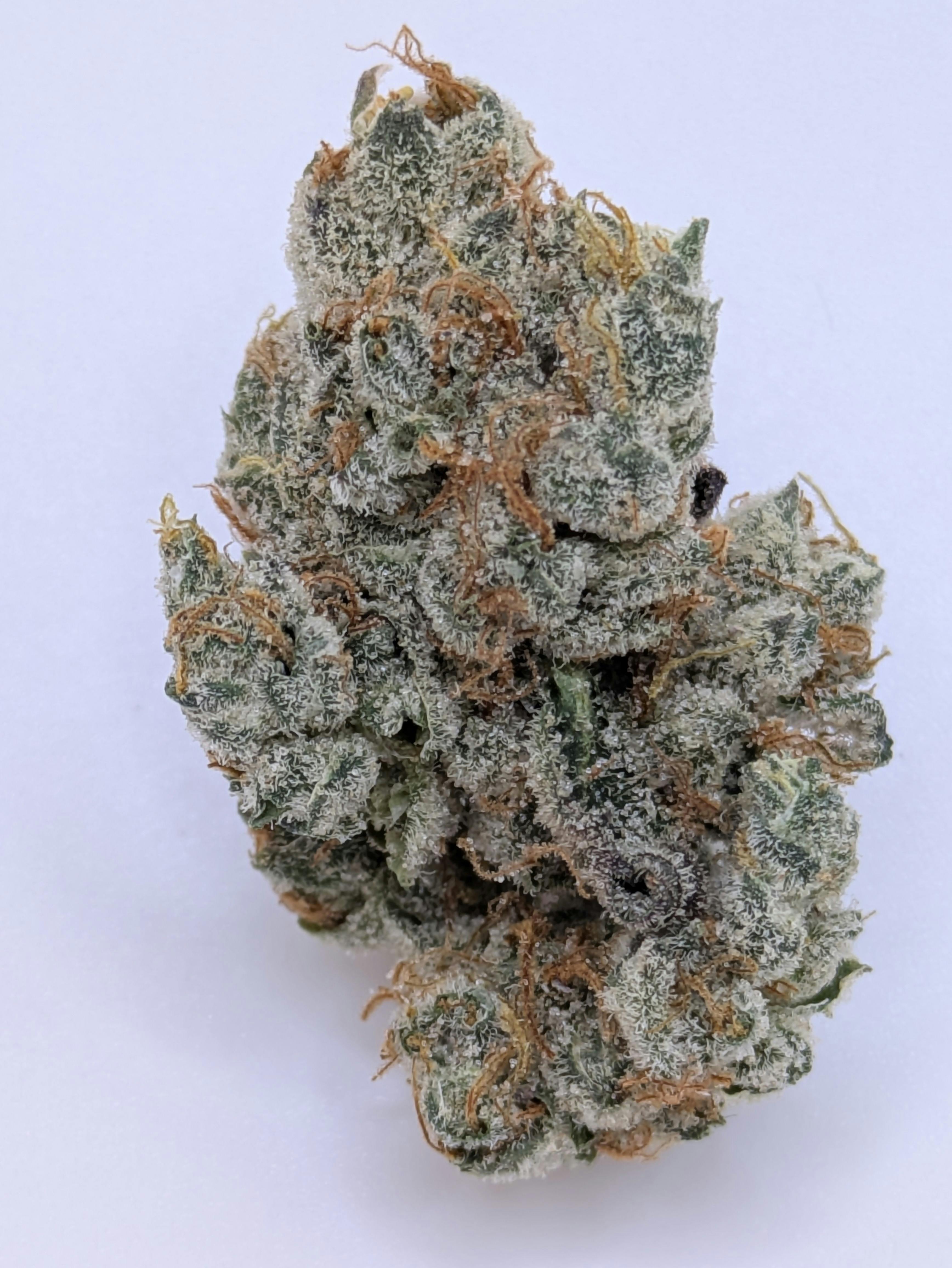 1 Oz GMO - Captains Cannabis * SALE*