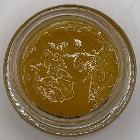 Girl Scout Glue - 14G Sugar - Tourma