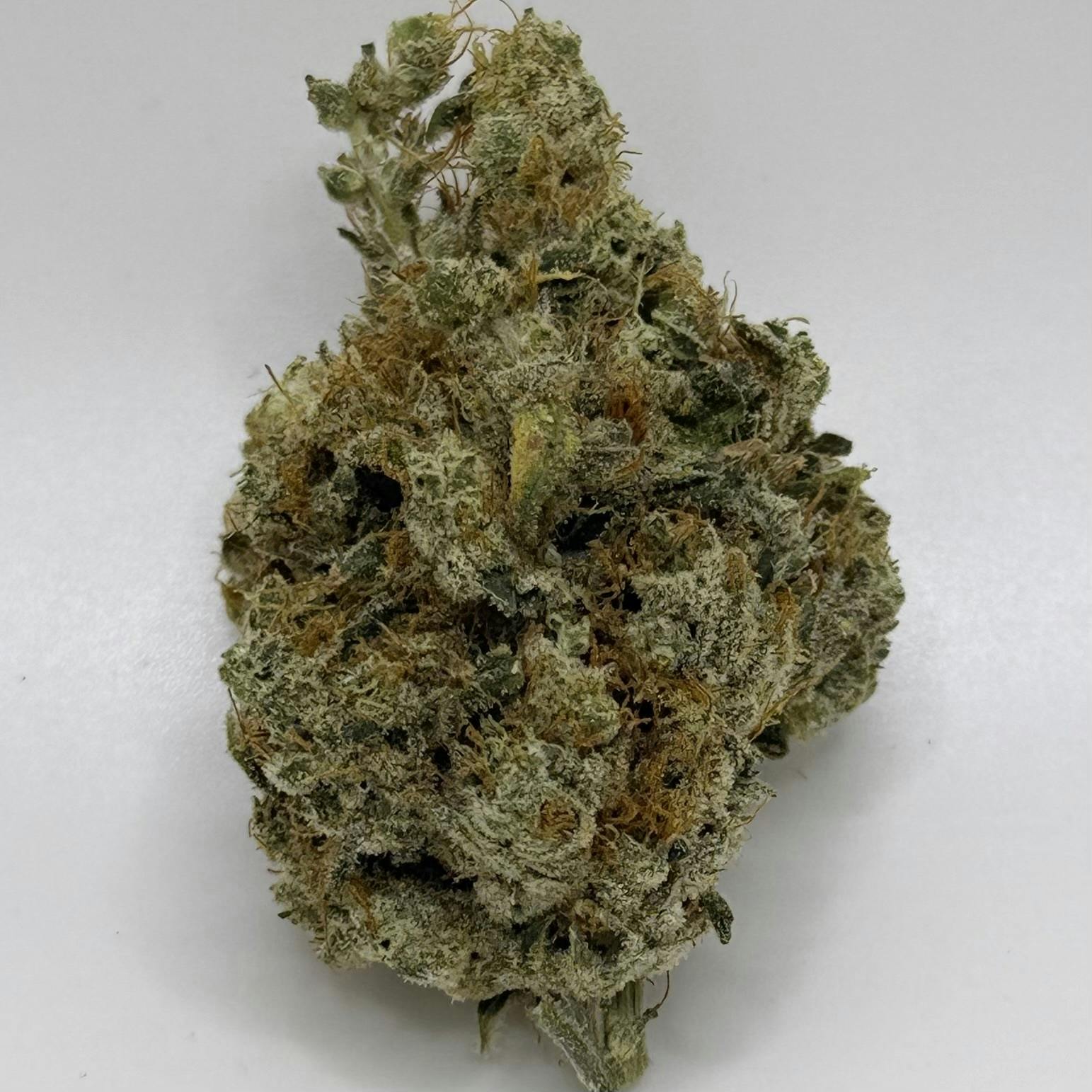 Mango Mintality - Captains Cannabis