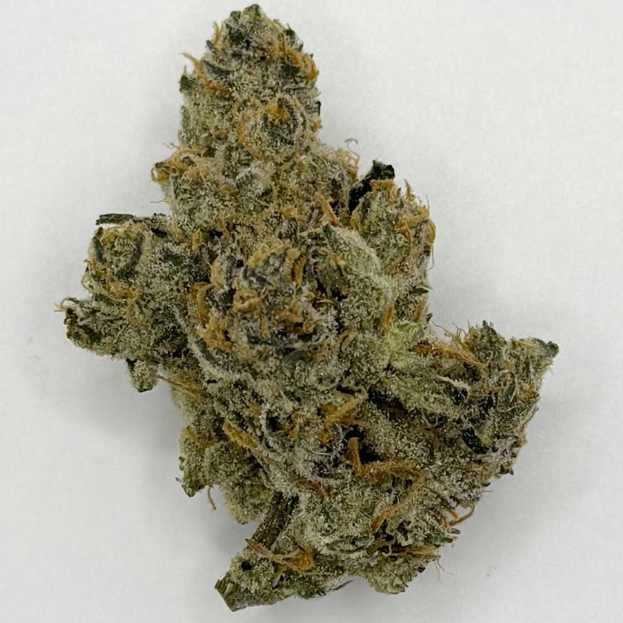Cheetah Piss - Captains Cannabis