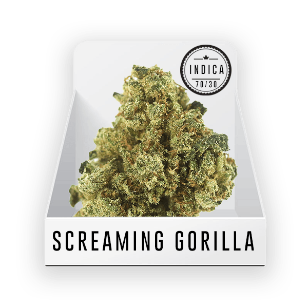 Bud - Screaming Gorilla 22.8% THC