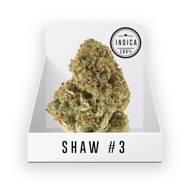Bud - Shaw Bud #3 17.4% THC