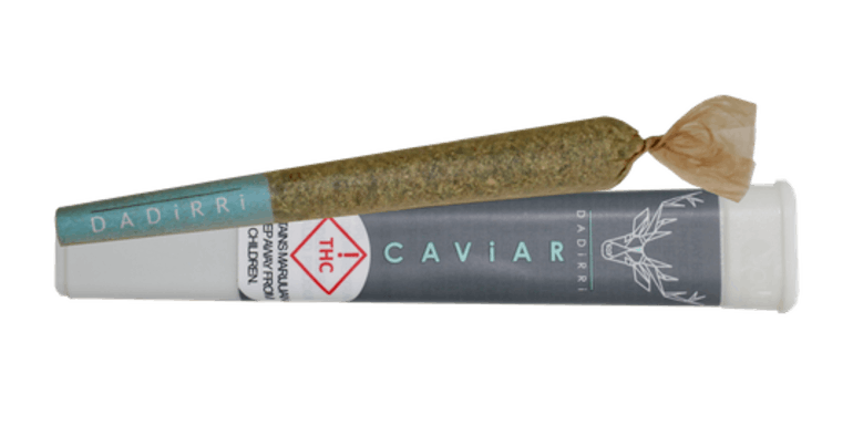 Dadirri Caviar Cone (Guptilla)