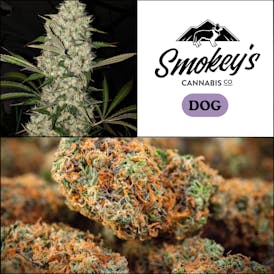 Smokey's | Buds | (H) Dog : 1:1