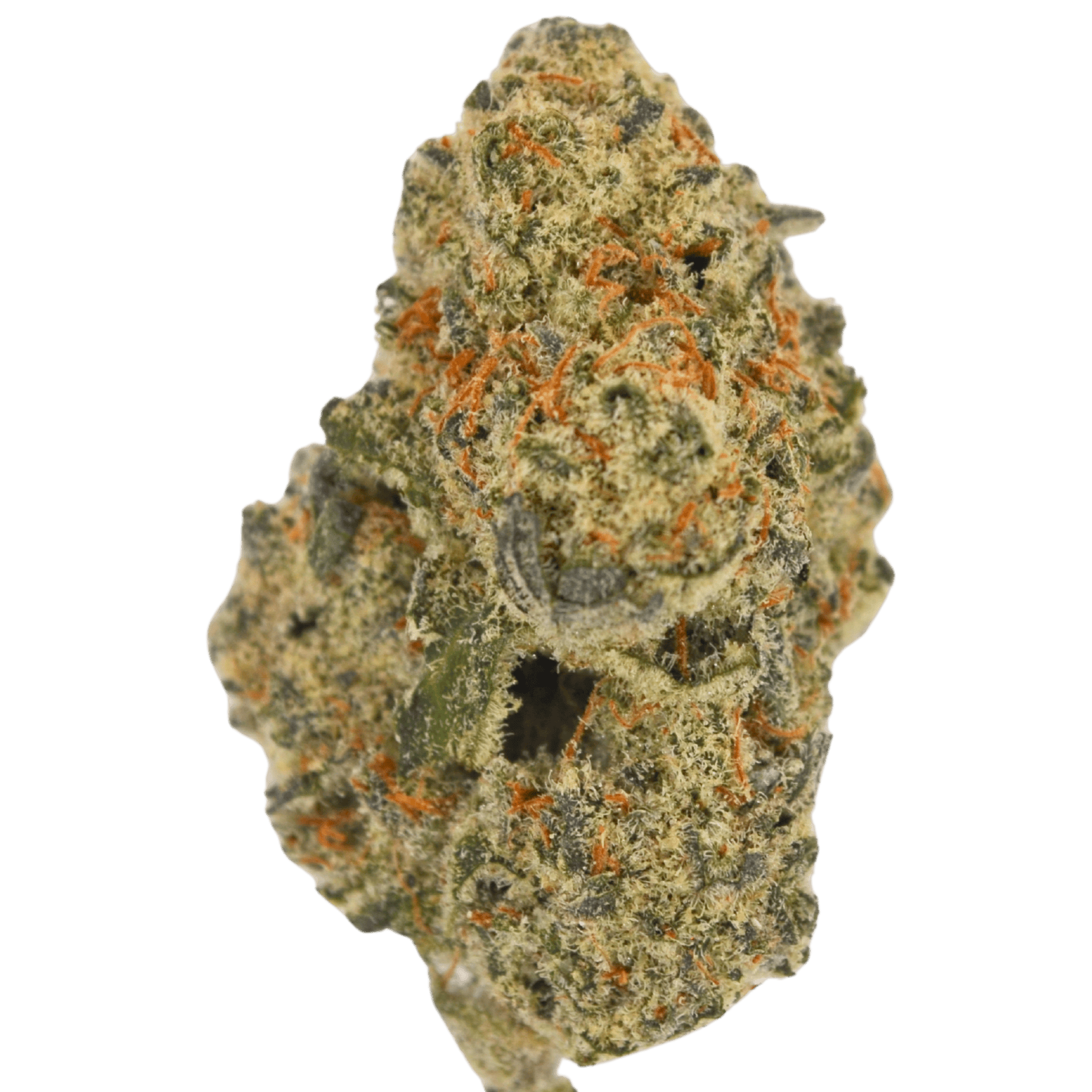 Tahoe Cookies