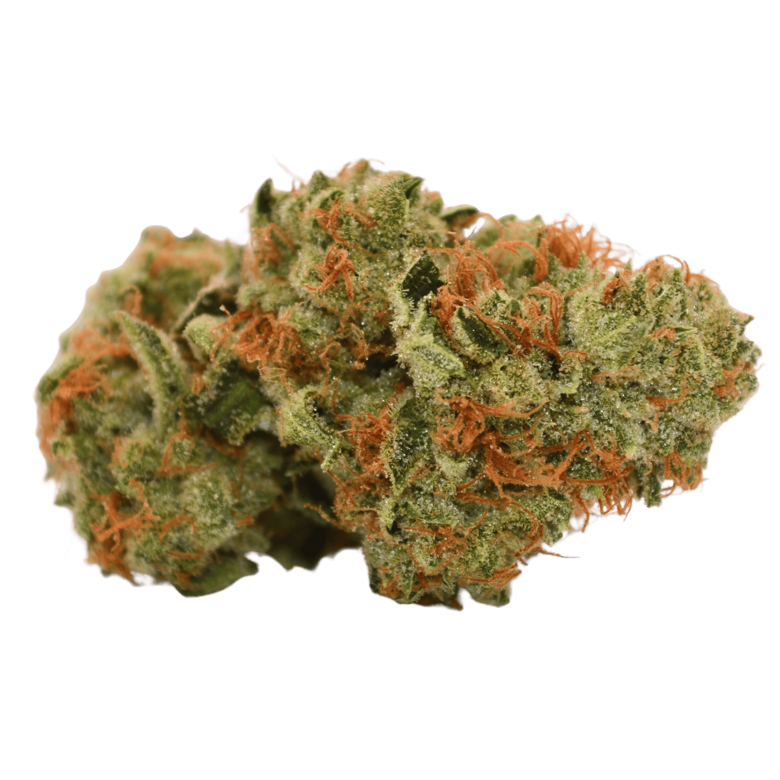 Gorilla Glue #4