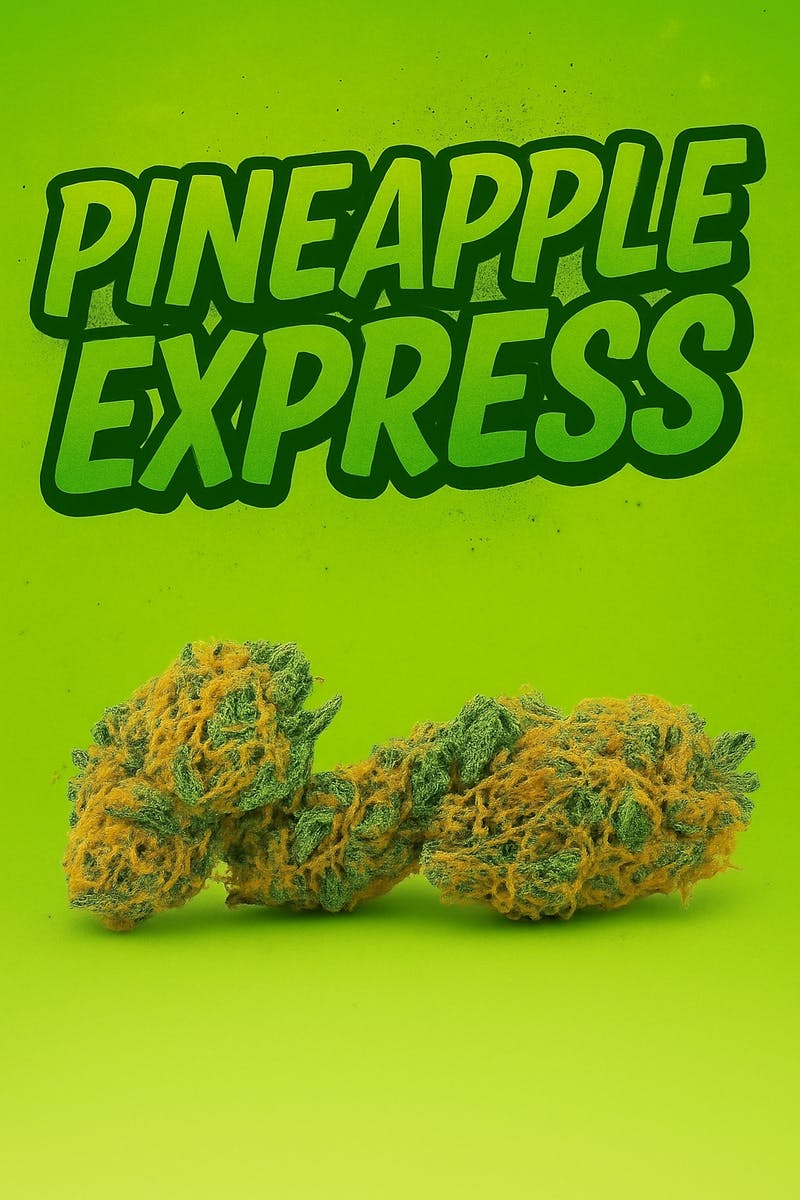 Tier 2 - Pineapple Express - at Elevated Dispensary Cut Bank