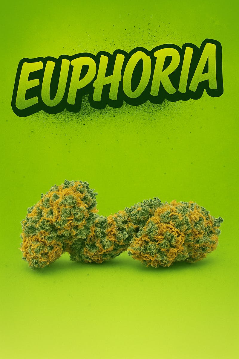 Tier 2 - Euphoria - at Elevated Dispensary Cut Bank