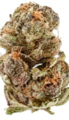 Potluck - Frosted Cherry 7g - Dried Flower