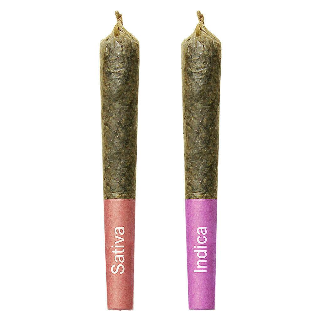 Gemini Sun and Moon Duo Pack Shatter Infused Pre-Roll 2x0.75g Shatter