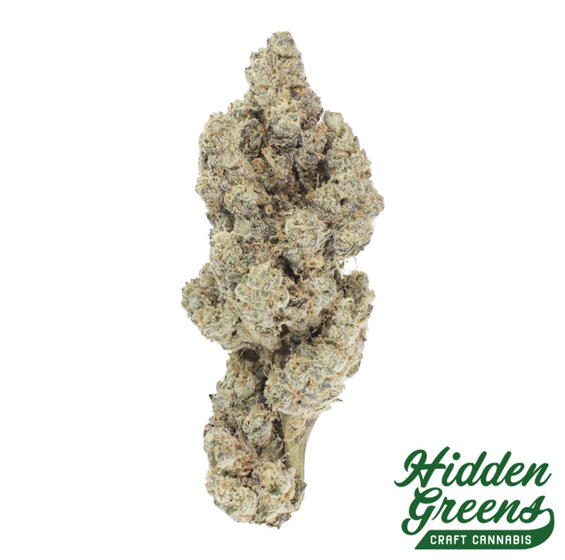 Gush Mints | Flower 3.5g (Value Tier) at Hidden Greens