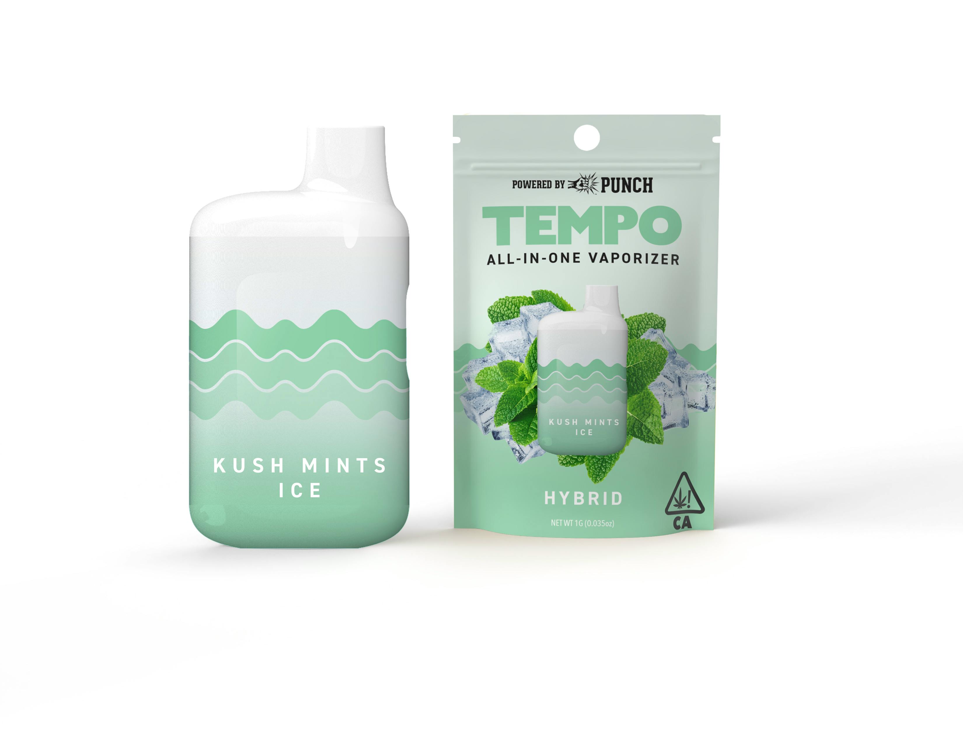 TEMPO - THC: Kush Mints Ice