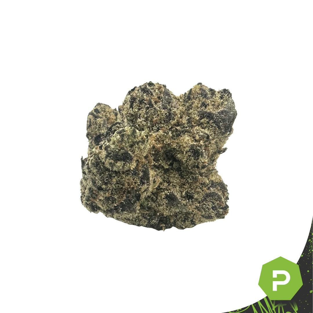 Glorious | Georgia Haze