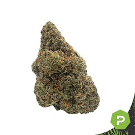 MVM LLC | LA Pop Rocks