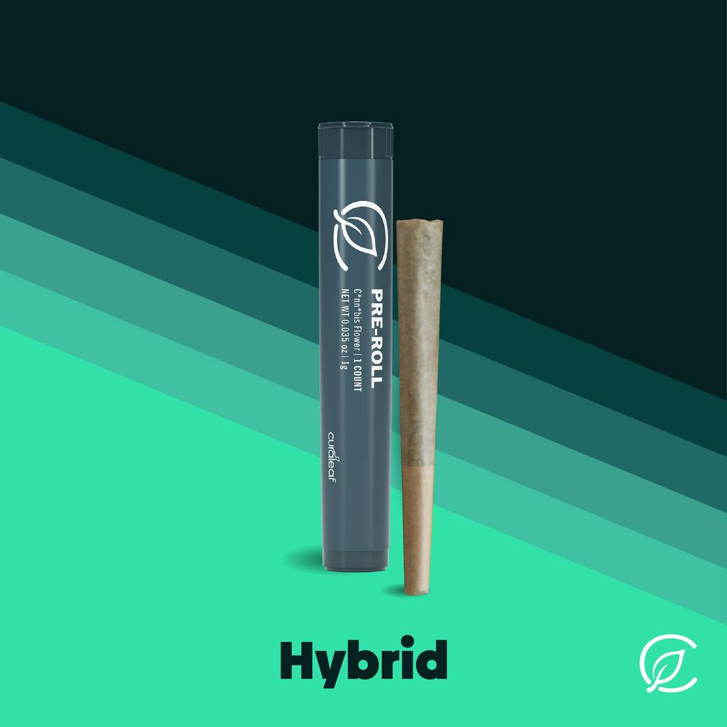 Curaleaf Agent Z Pre-Roll Single | 1g