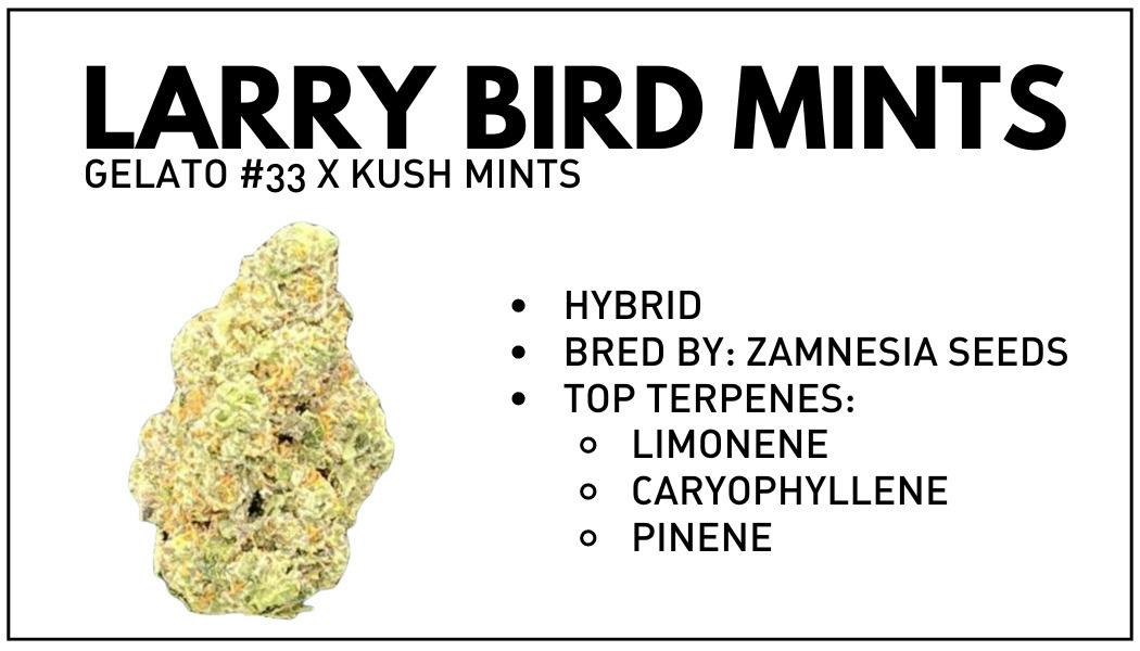 Larry Bird Mints (smalls) by Light Sky Farms