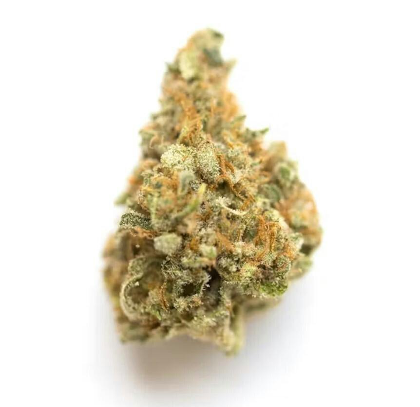 Animal Tree buds by Light Sky Farms