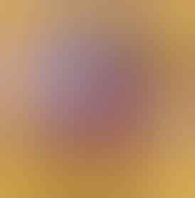 Red Bud Elixirs - R L Remedy Lotion Full Size