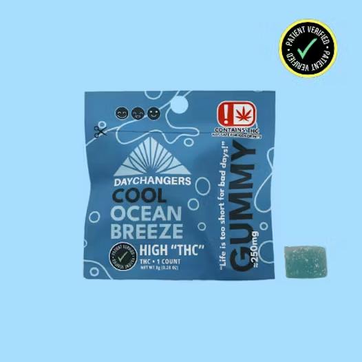 Day Changer | Ocean Breeze Single Gummy | 250mg