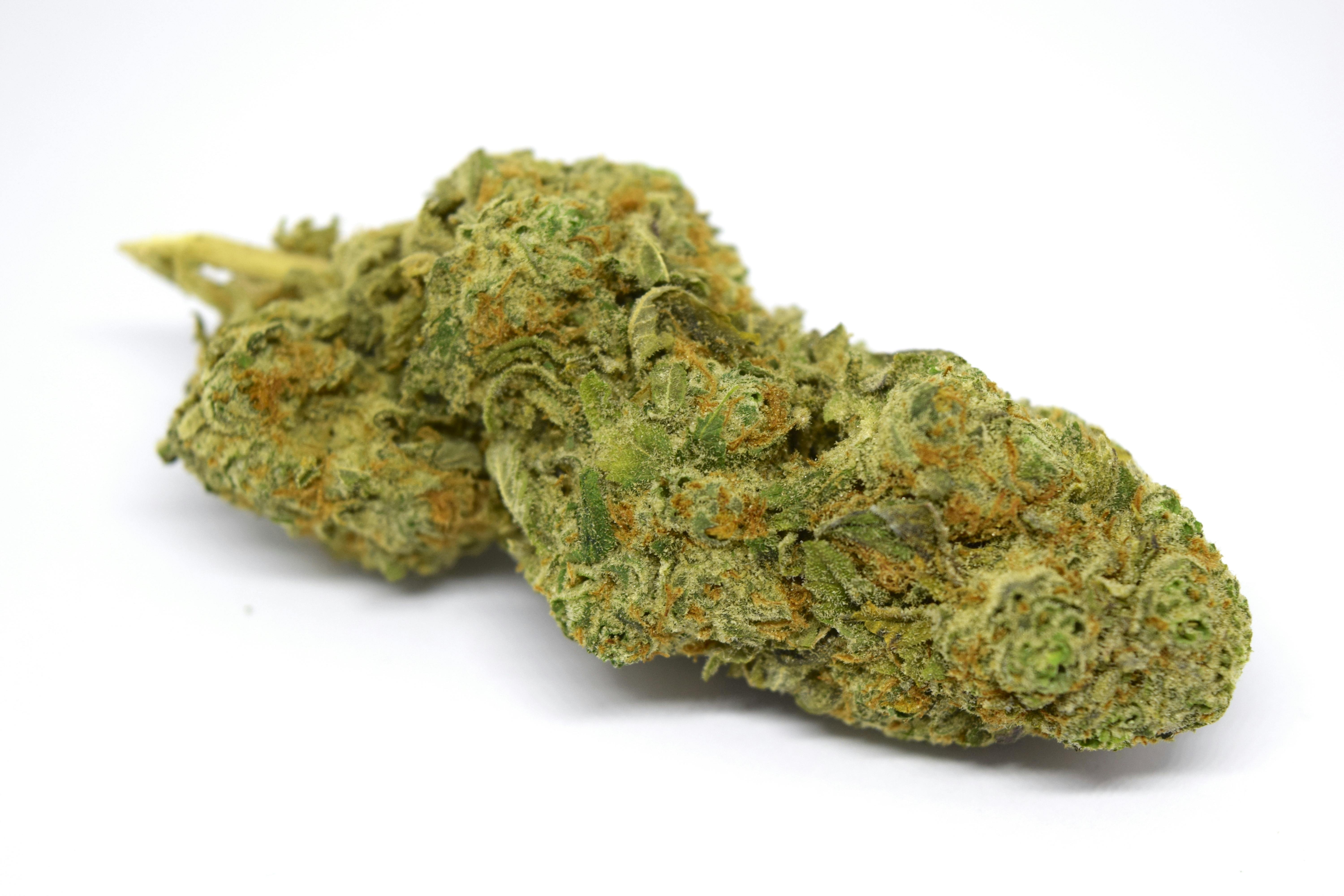 Eighth- Zombie Cookies 3.5g Flower by Voodoo Cannabis (25%)