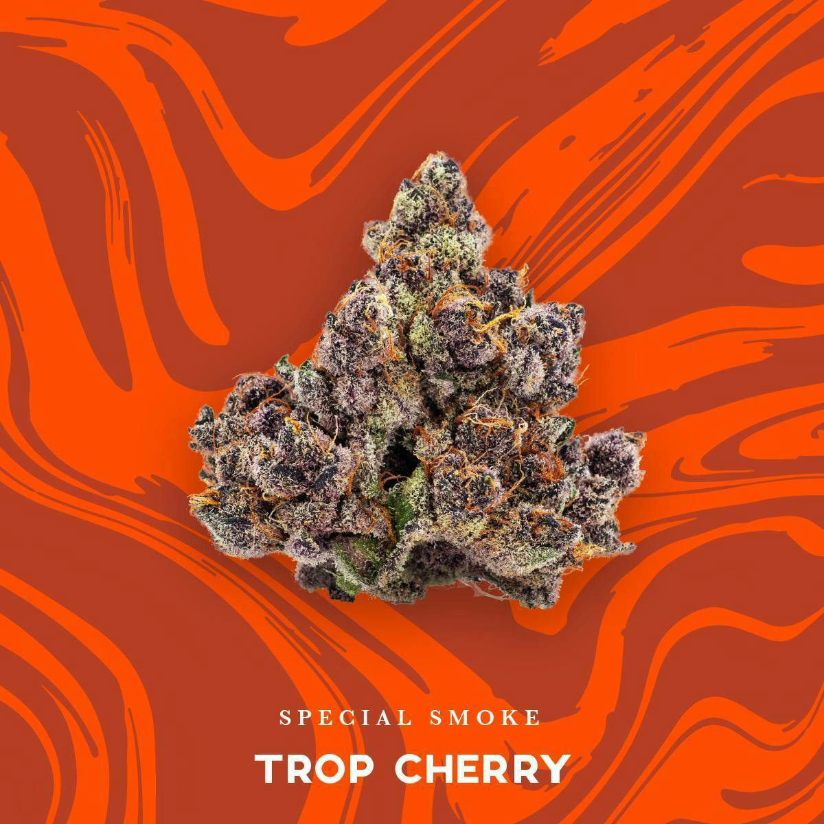 Trop Cherry