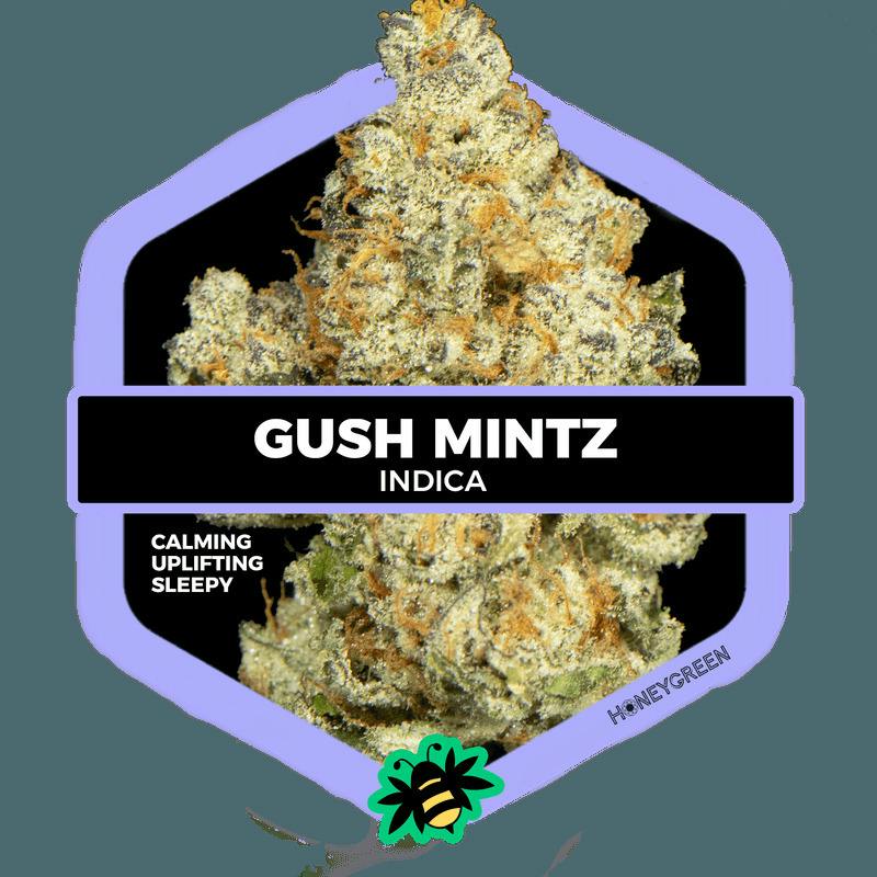 Gush Mintz