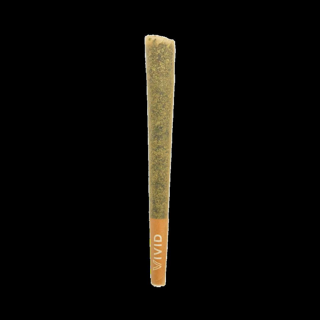 Vivid - Pre-Roll - Alien Mintz - [1g]