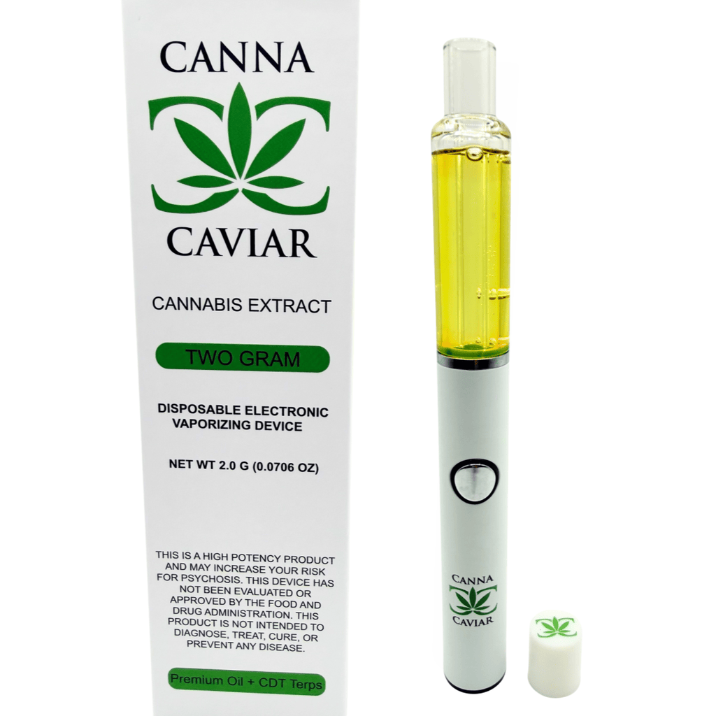 Canna Caviar Sunrise