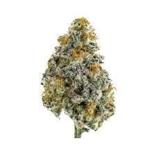 DAZE - Miracle Glue (3.5g)