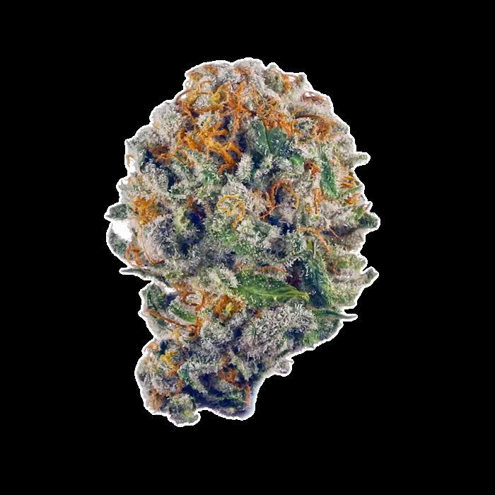 Nature's Chemistry - Canal Street Runtz (1g)